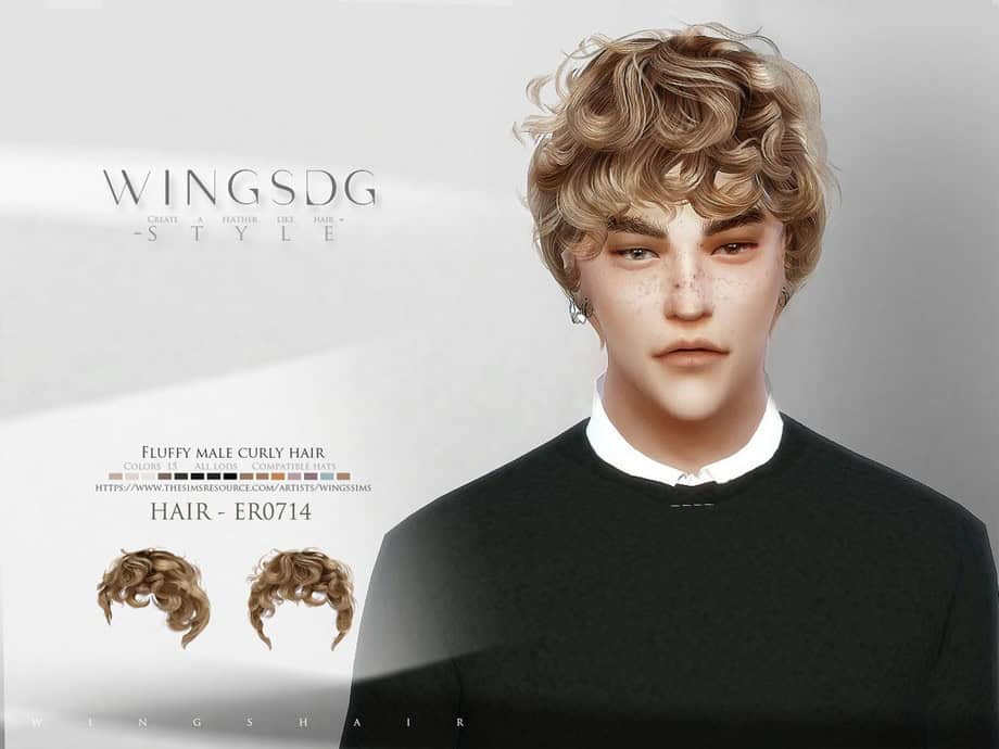 Sims 4 Curly Hairstyles Fluffy male